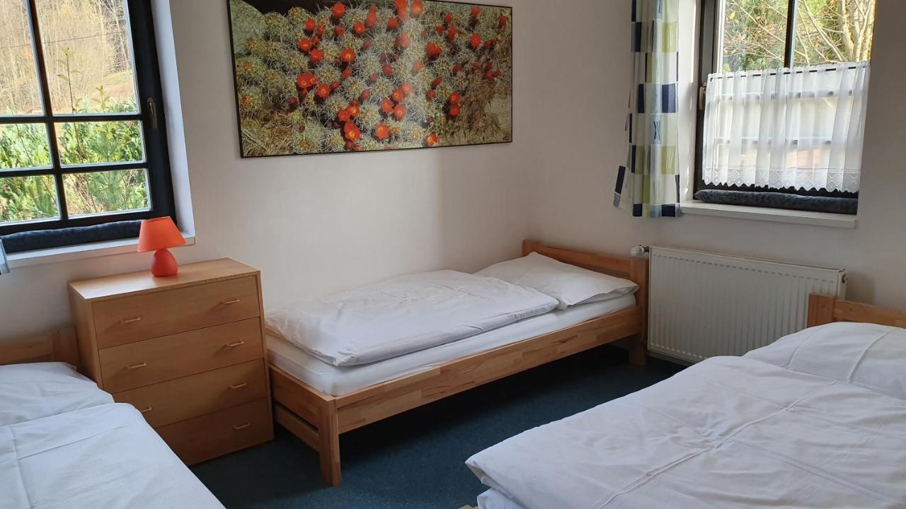 Apartmany Eddy โรกีนีซ นัด ยีเซอโร ภายนอก รูปภาพ